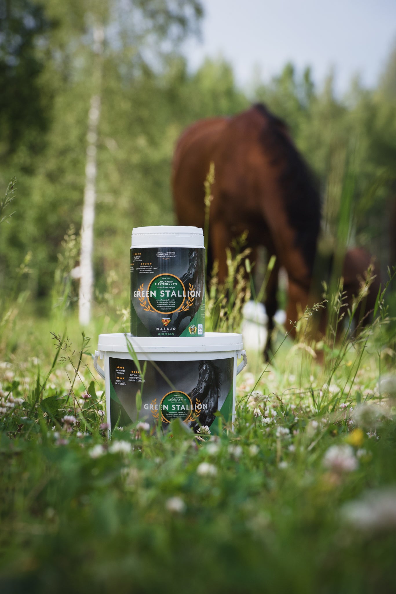 Green Stallion Luonnon Elektrolyytti 2,5kg