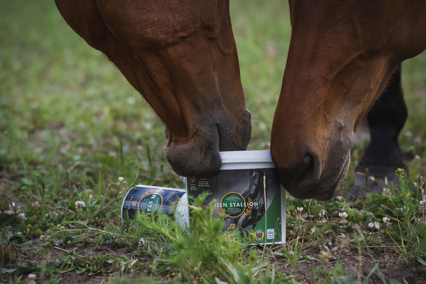 Green Stallion Luonnon Elektrolyytti 2,5kg